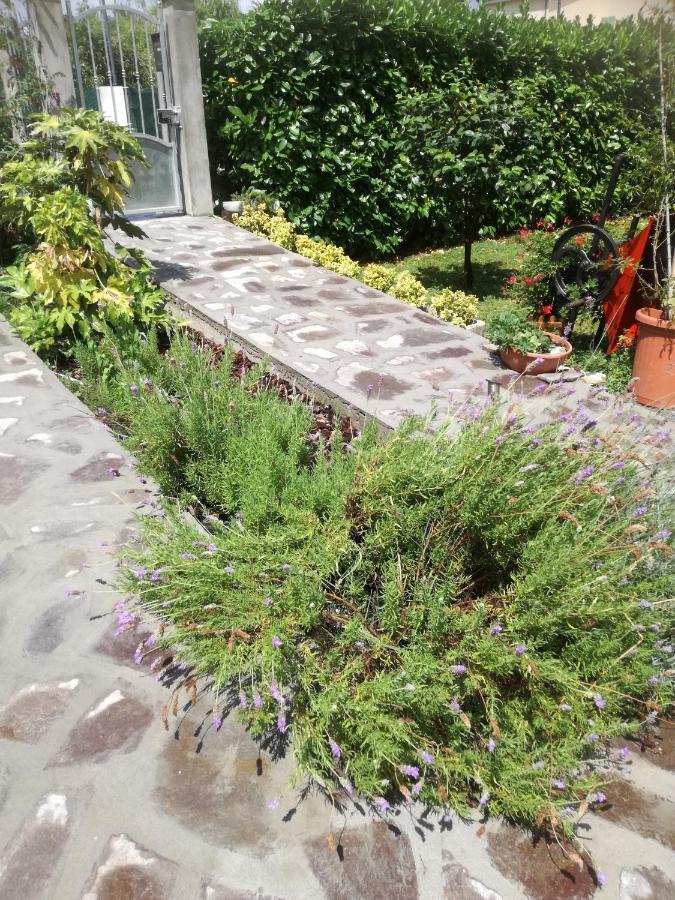 B&B La Damigiana Fioi Piano di Follo Bagian luar foto