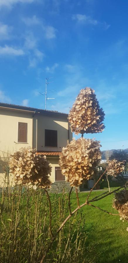 B&B La Damigiana Fioi Piano di Follo Bagian luar foto