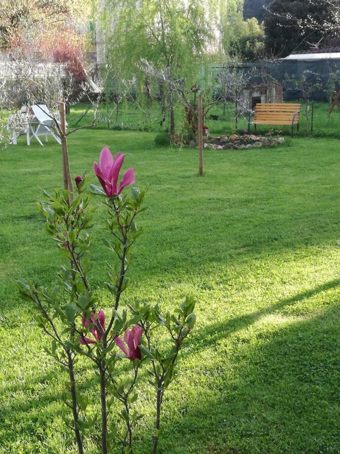 B&B La Damigiana Fioi Piano di Follo Bagian luar foto