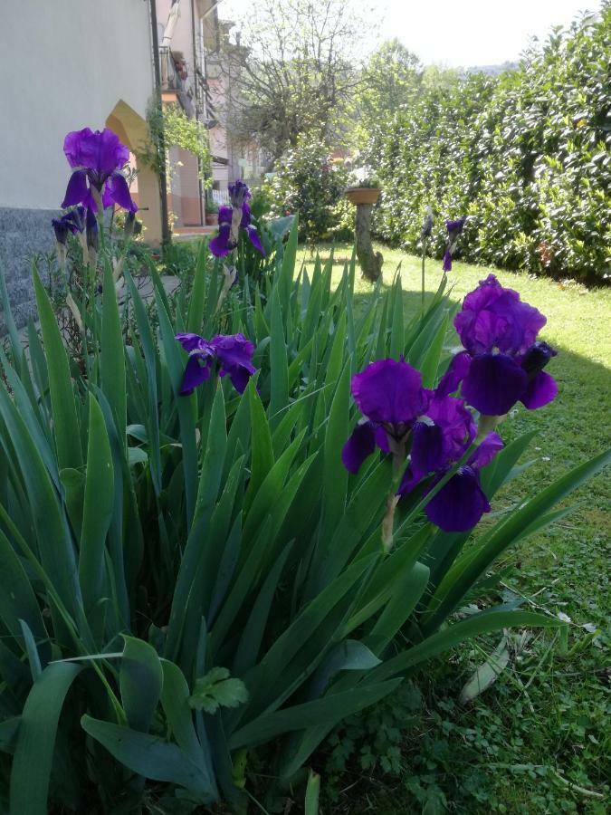 B&B La Damigiana Fioi Piano di Follo Bagian luar foto