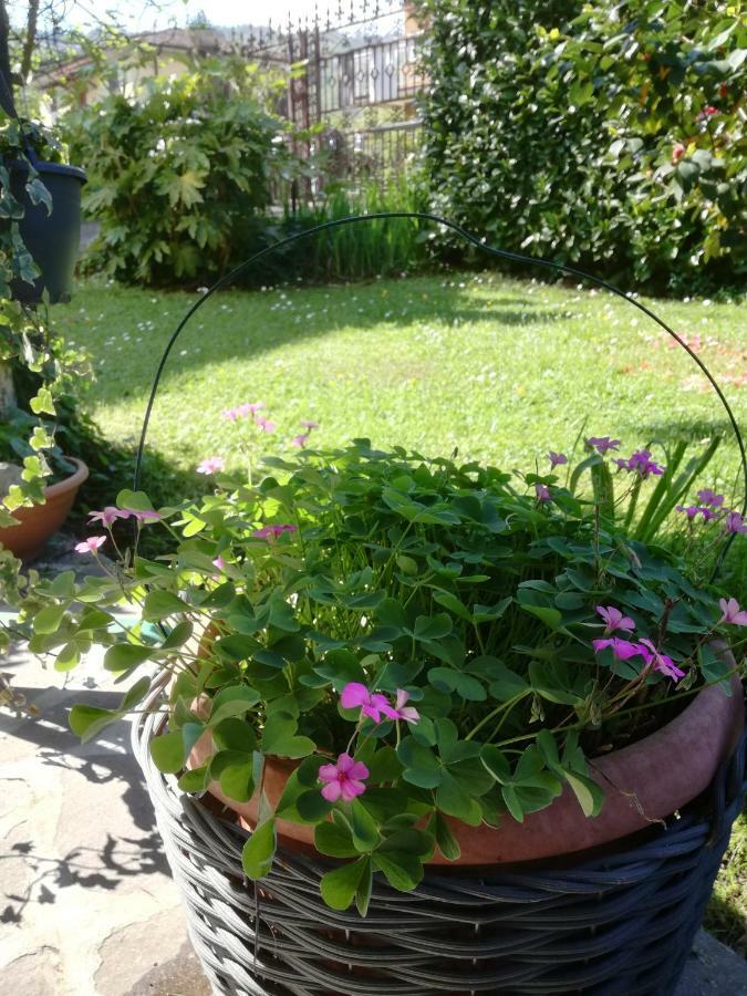 B&B La Damigiana Fioi Piano di Follo Bagian luar foto