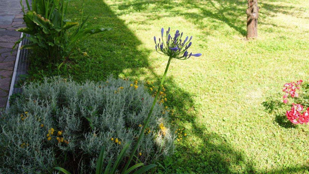 B&B La Damigiana Fioi Piano di Follo Bagian luar foto