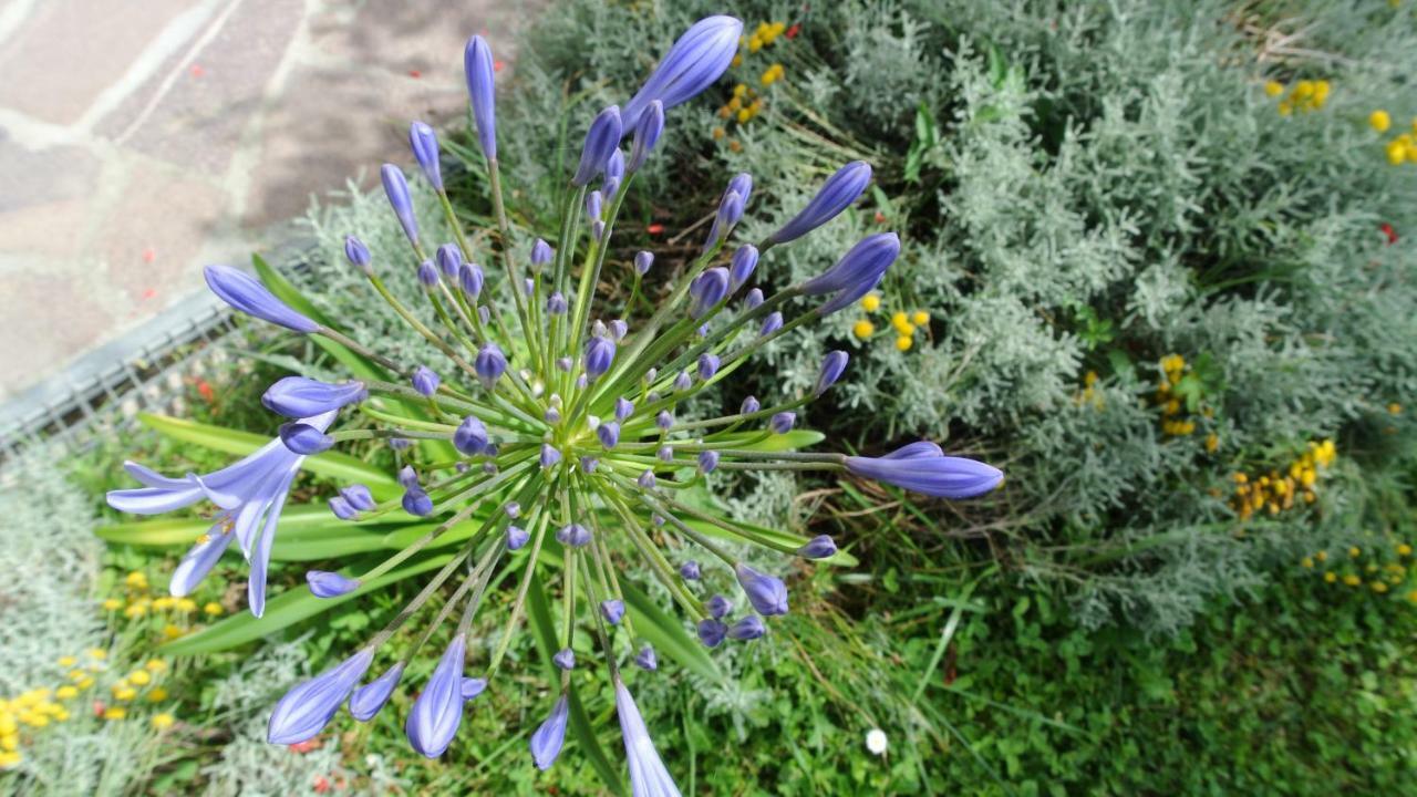 B&B La Damigiana Fioi Piano di Follo Bagian luar foto