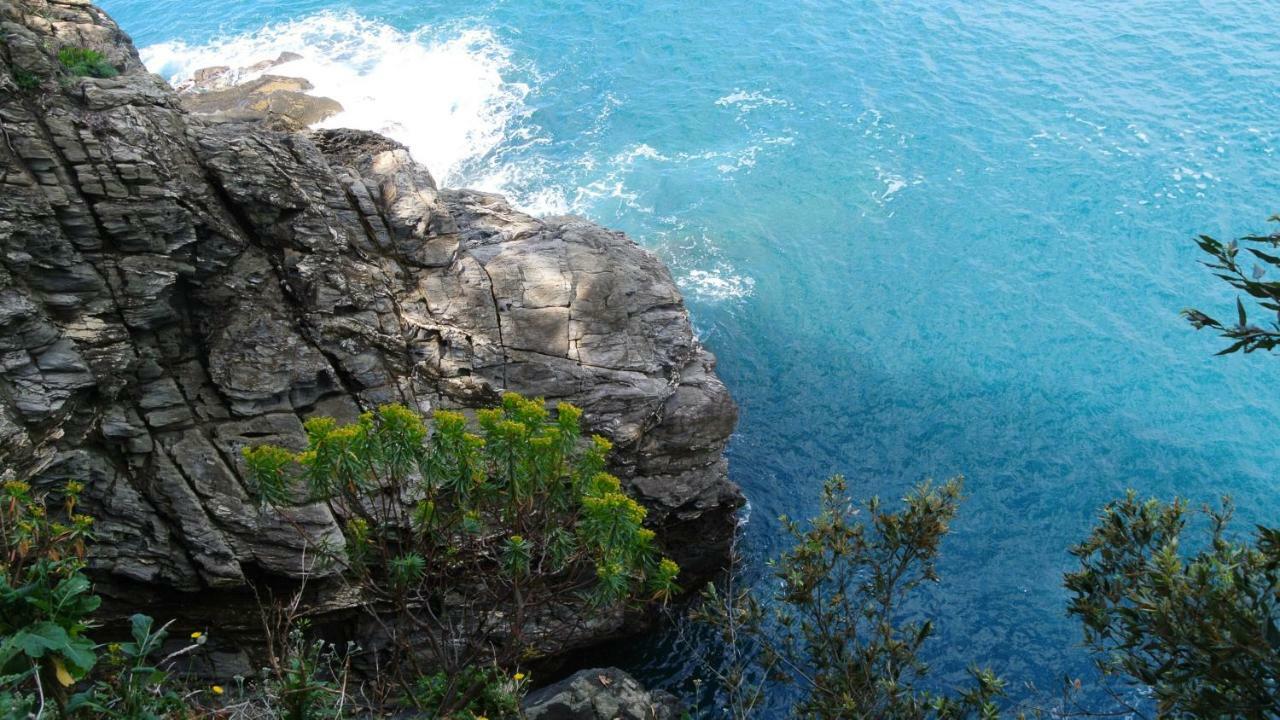 B&B La Damigiana Fioi Piano di Follo Bagian luar foto